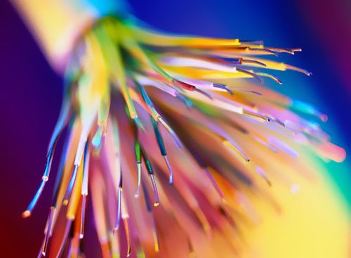 �а͹��w��|�Ŀһ�ڹ���������ǰһ���깤